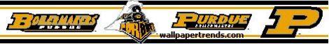 Purdue Boilermakers Wallpaper Border